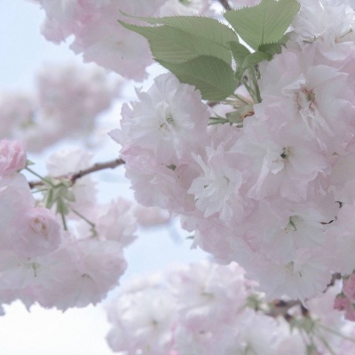 兽设拟人化设计技巧FurryQQ群